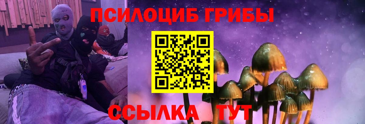 Псилоцибиновые грибы Magic Shrooms Лесной