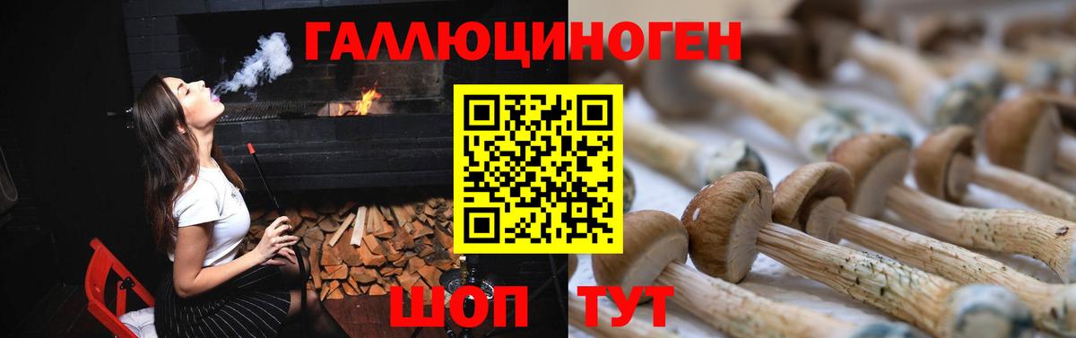 Псилоцибиновые грибы MAGIC MUSHROOMS  Вход с VPN  Лесной 